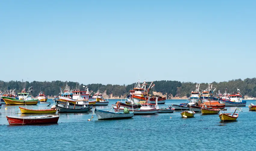 Viaje santiago-y-puerto-varas-tvg-5585 